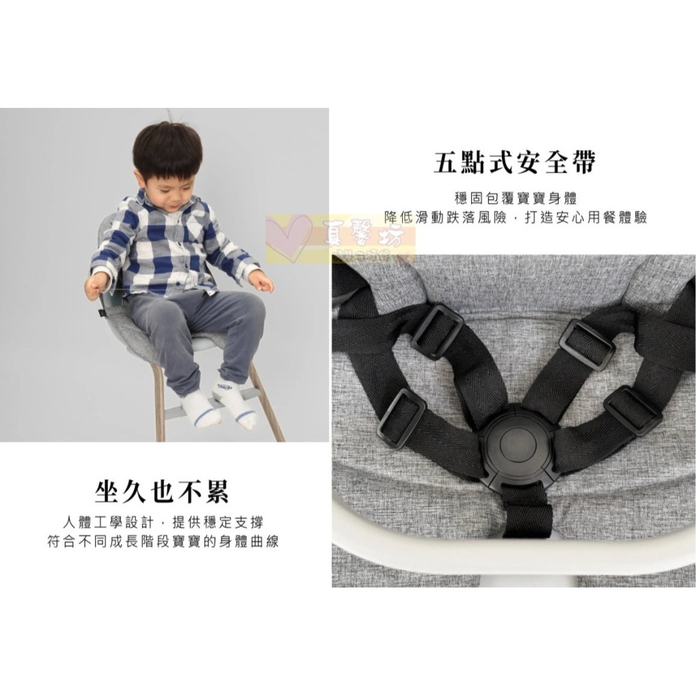 [免運]貝喜力克Basilic 4in1成長型兒童餐椅(D1441) - 用餐椅/寶寶餐椅/幼兒餐椅/嬰兒餐-細節圖4