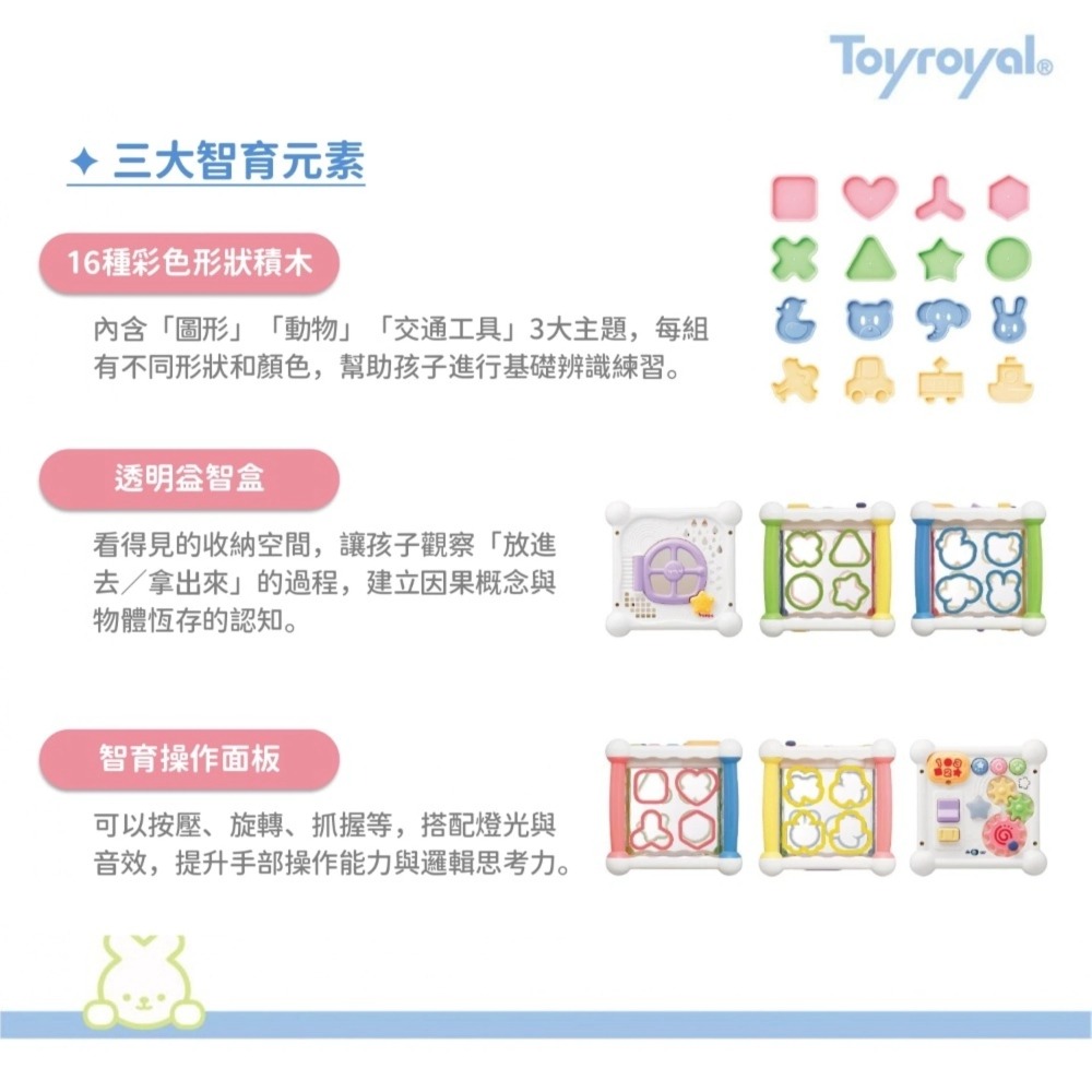 樂雅玩具Toyroyal 觀察力UP積木六面盒 - 嬰兒玩具/五感統合/聲光玩具-細節圖3