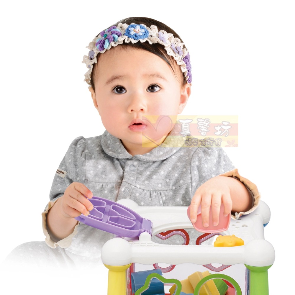 樂雅玩具Toyroyal 觀察力UP積木六面盒 - 嬰兒玩具/五感統合/聲光玩具-細節圖6