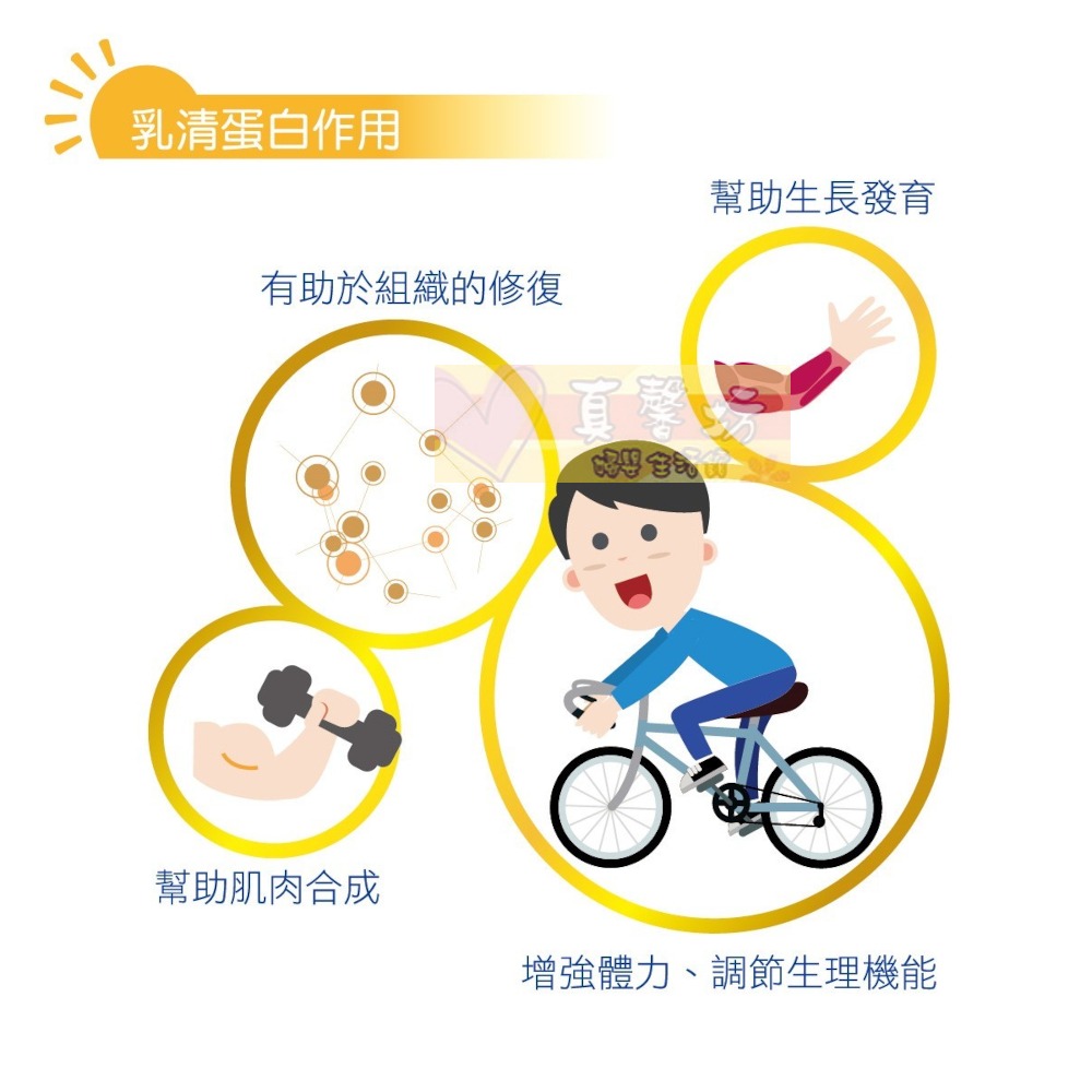 寶瀛康素 乳清蛋白 5gx30入包/盒 - kealth /補充蛋白質/體力恢復/組織修復建造/傷口癒合-細節圖3