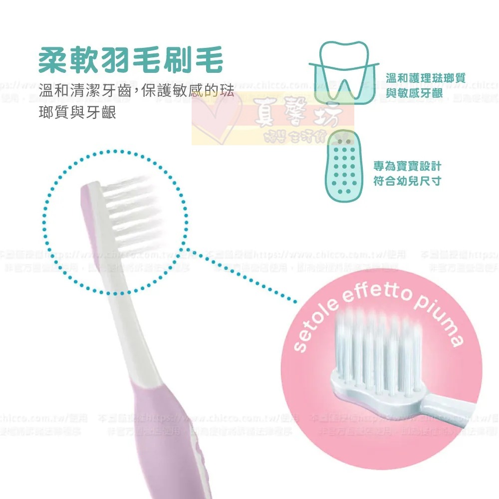 chicco 幼兒牙刷2入 6m~3y (丁香紫+芥末黃/莫蘭迪藍+芥末黃) - 兒童牙刷/口腔護理/義大利-細節圖3