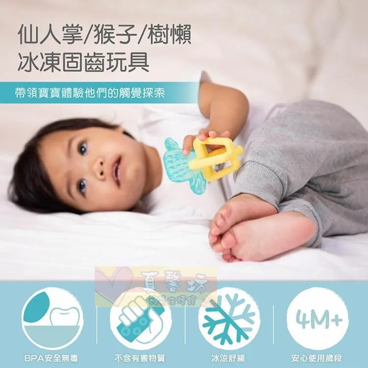 chicco 冰涼固齒玩具 (仙人掌/猴子/樹懶/大嘴鳥) - 舒緩牙齒不適/冰涼/固齒器/可搭配長牙凝膠-細節圖2