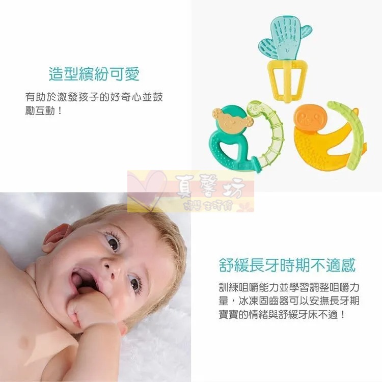 chicco 冰涼固齒玩具 (仙人掌/猴子/樹懶/大嘴鳥) - 舒緩牙齒不適/冰涼/固齒器/可搭配長牙凝膠-細節圖4