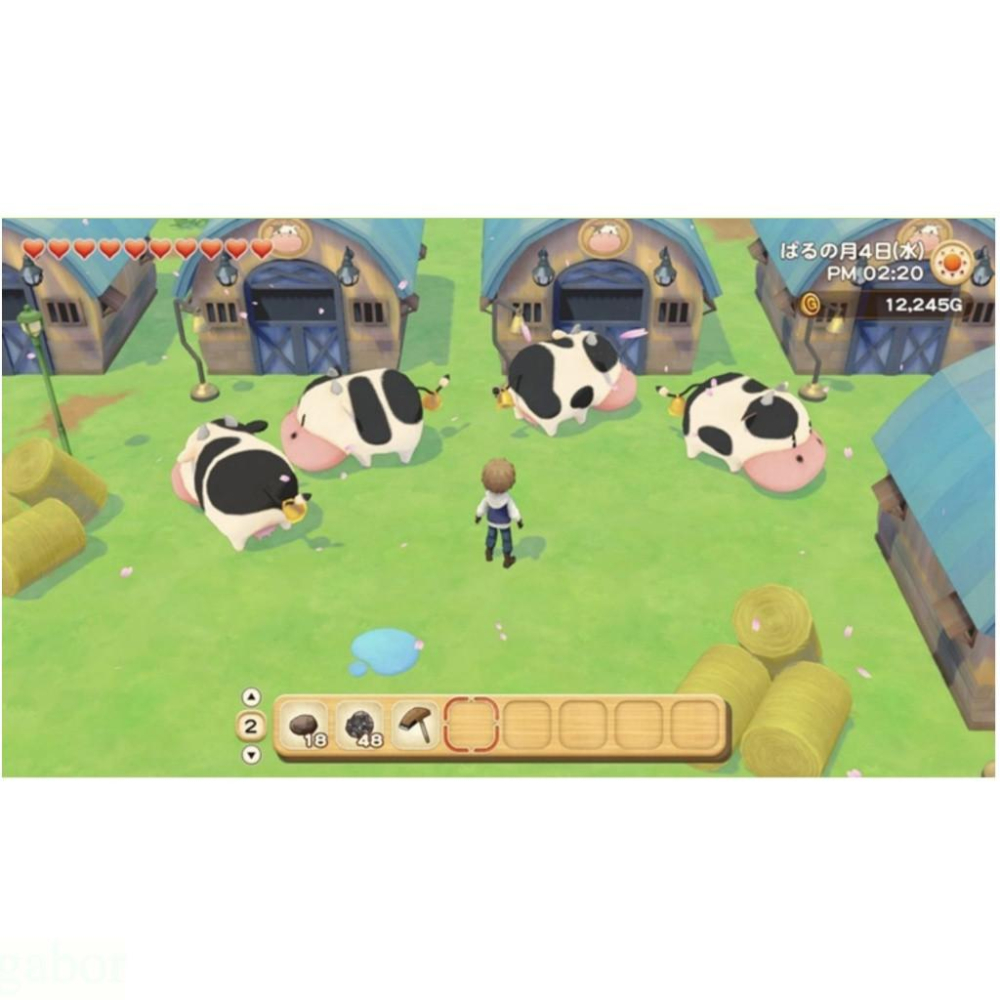 【金魚i電玩】任天堂 NS Switch 牧場物語 橄欖鎮與希望的大地 中文版-細節圖5