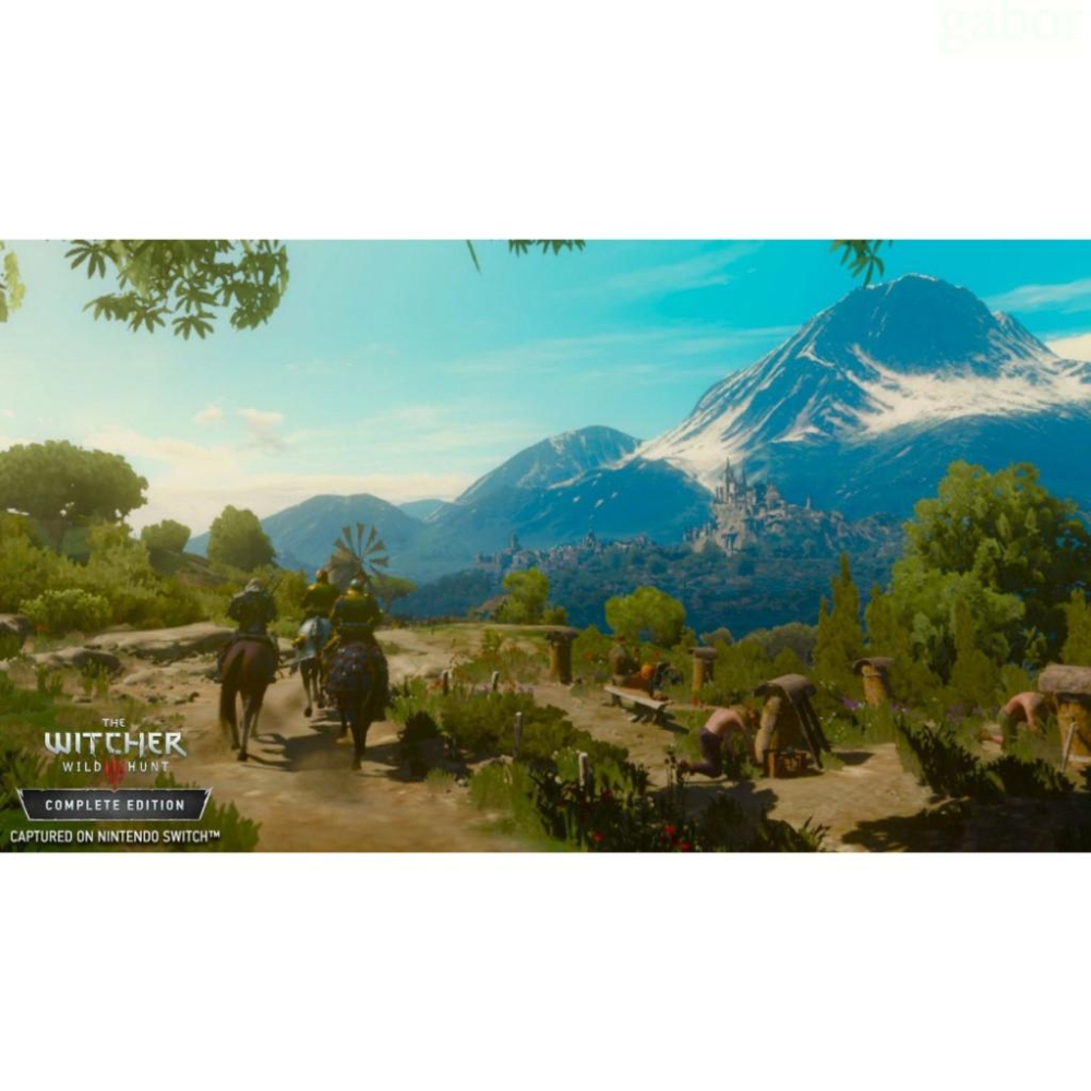 【金魚i電玩】NS Switch 巫師3 狂獵 完全 中文版-細節圖4