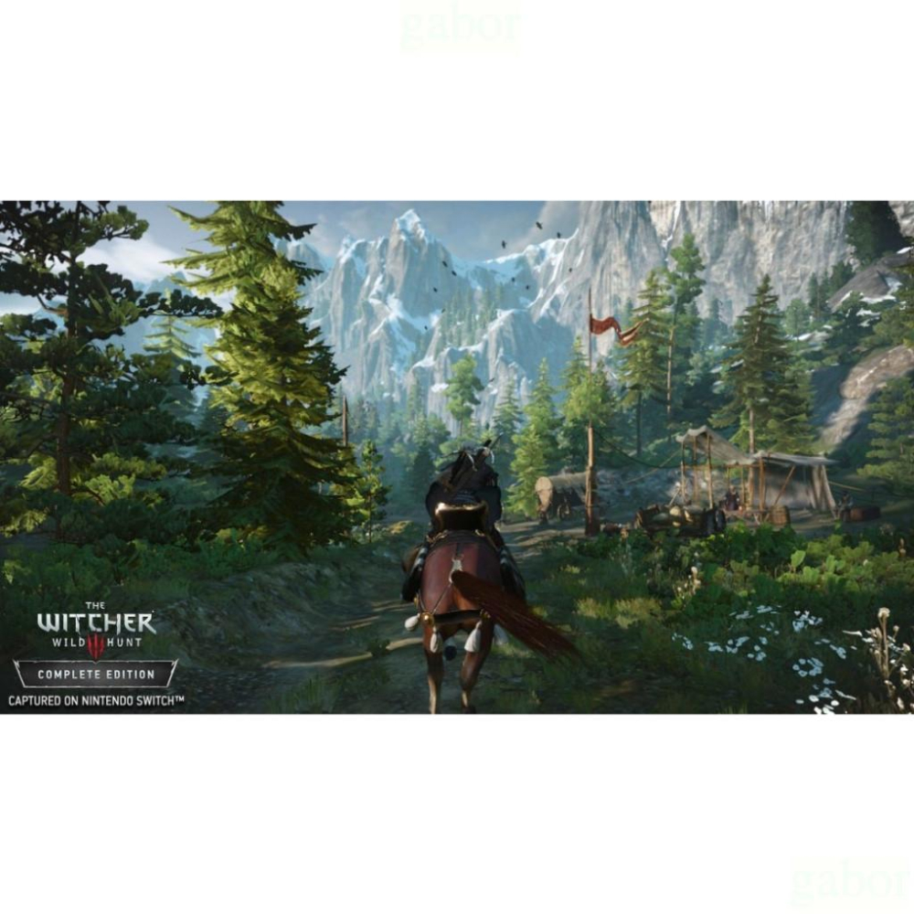 【金魚i電玩】NS Switch 巫師3 狂獵 完全 中文版-細節圖5