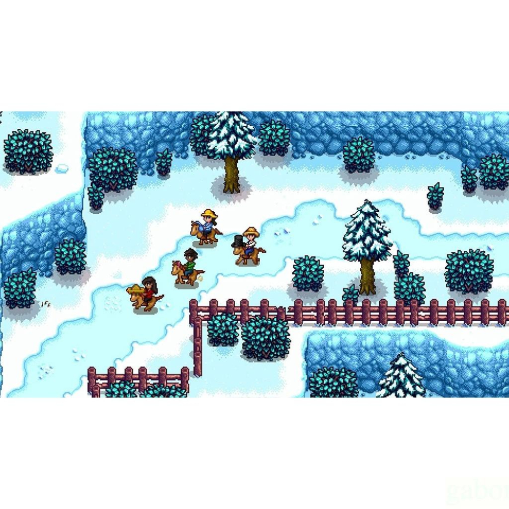 【金魚i電玩】任天堂 NS Switch 星露谷物語 簡中-細節圖2