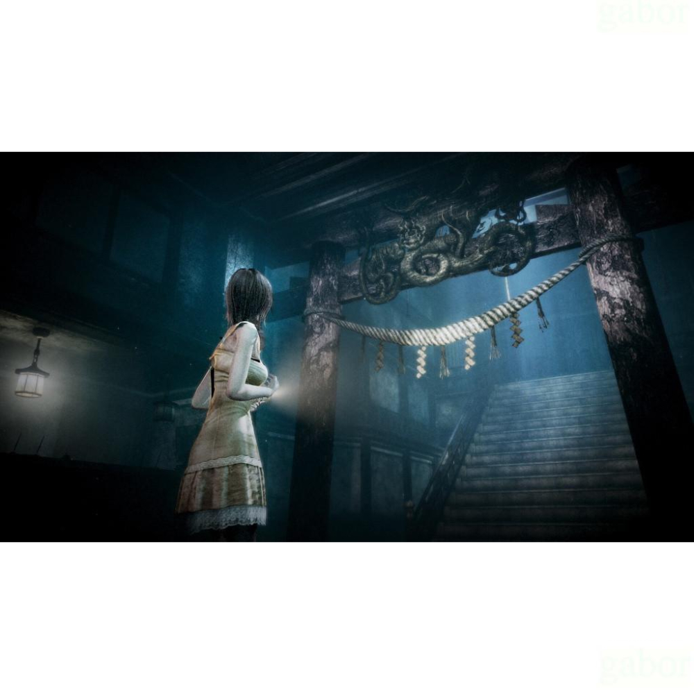 【金魚i電玩】NS Switch 零 月蝕的假面 中文版-細節圖4
