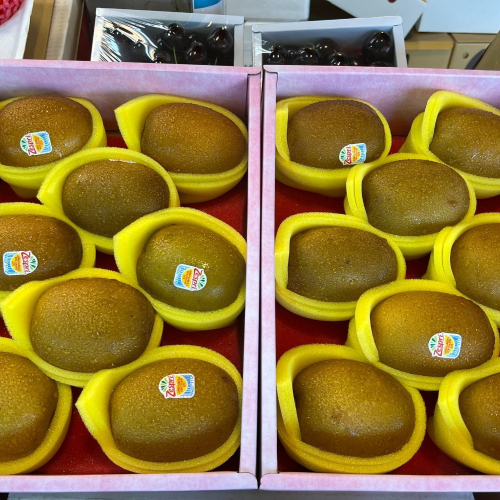 閔凡水果 紐西蘭黃金奇異果8顆禮盒裝~!&lt;原裝16顆&gt;