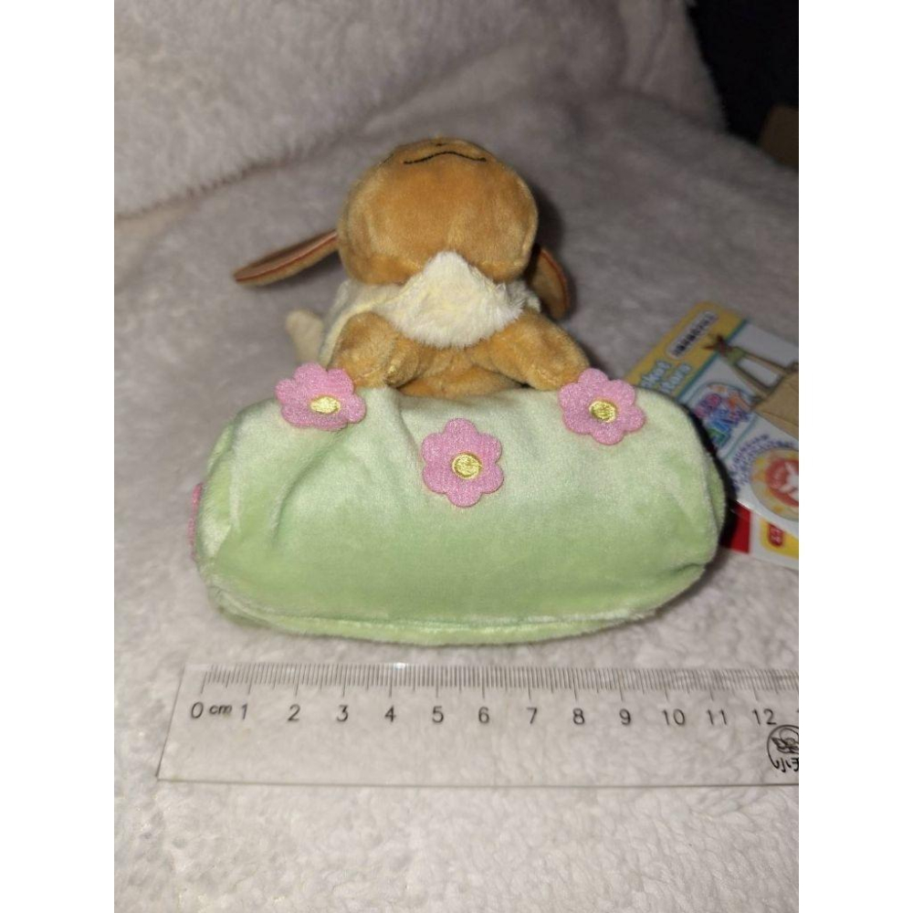 寶可夢絨毛收納購物袋 伊布 全新 出清 pokemon-細節圖5