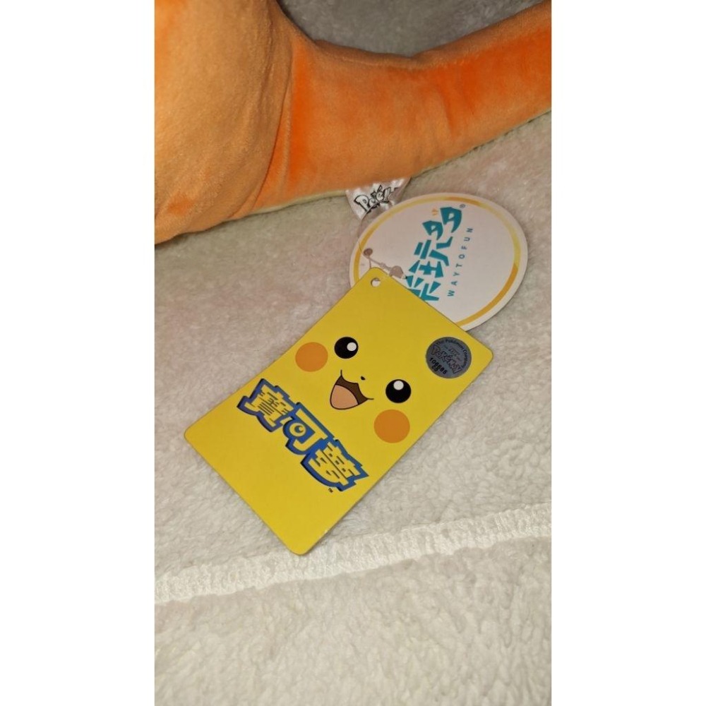 30公分 小火龍 精靈寶可夢 大娃娃 玩偶 公仔 正版 樂玩多-細節圖5