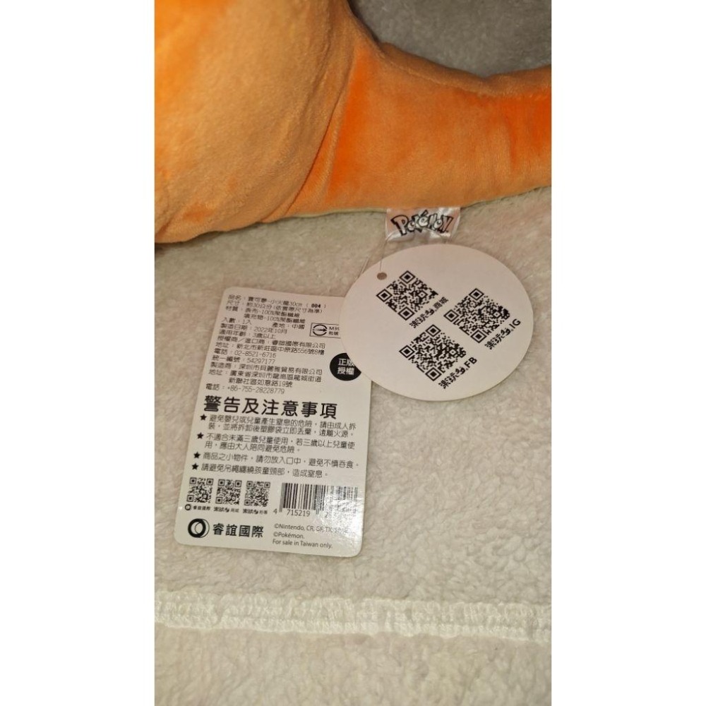 30公分 小火龍 精靈寶可夢 大娃娃 玩偶 公仔 正版 樂玩多-細節圖7