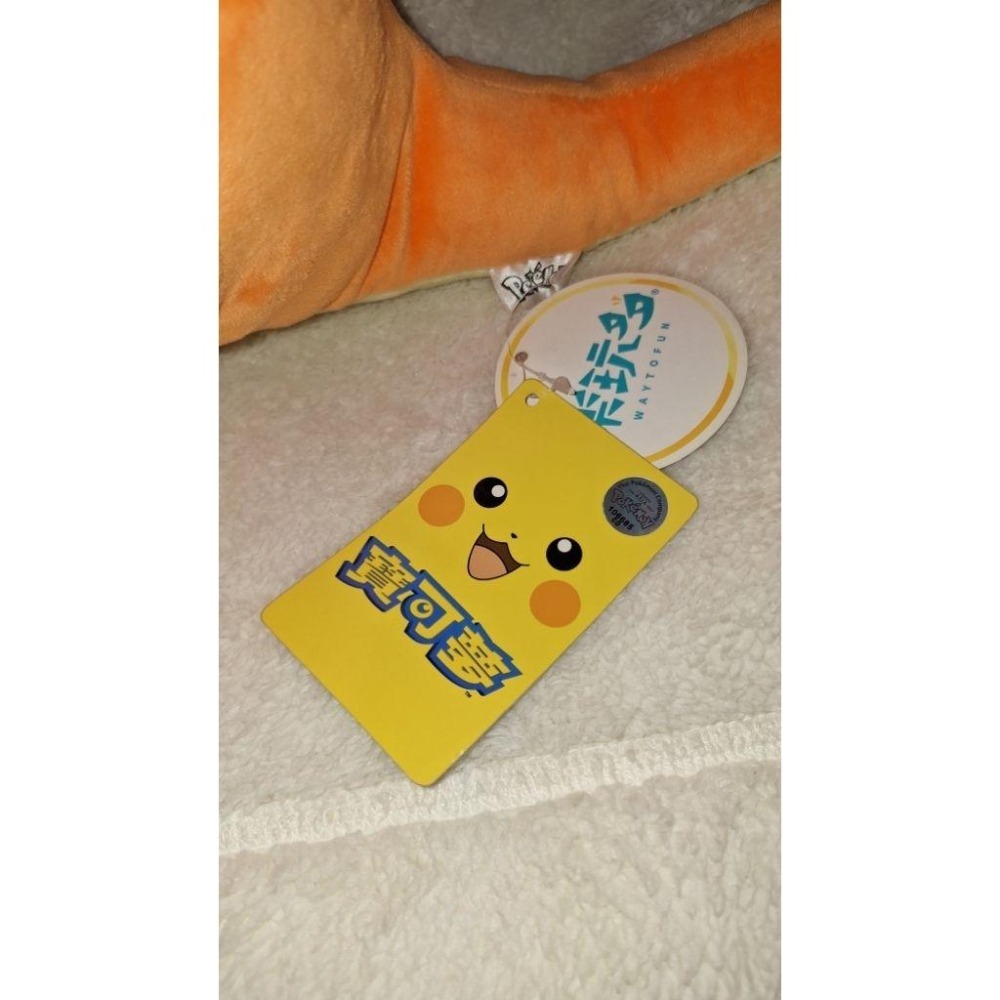 30公分 小火龍 精靈寶可夢 大娃娃 玩偶 公仔 正版 樂玩多-細節圖5