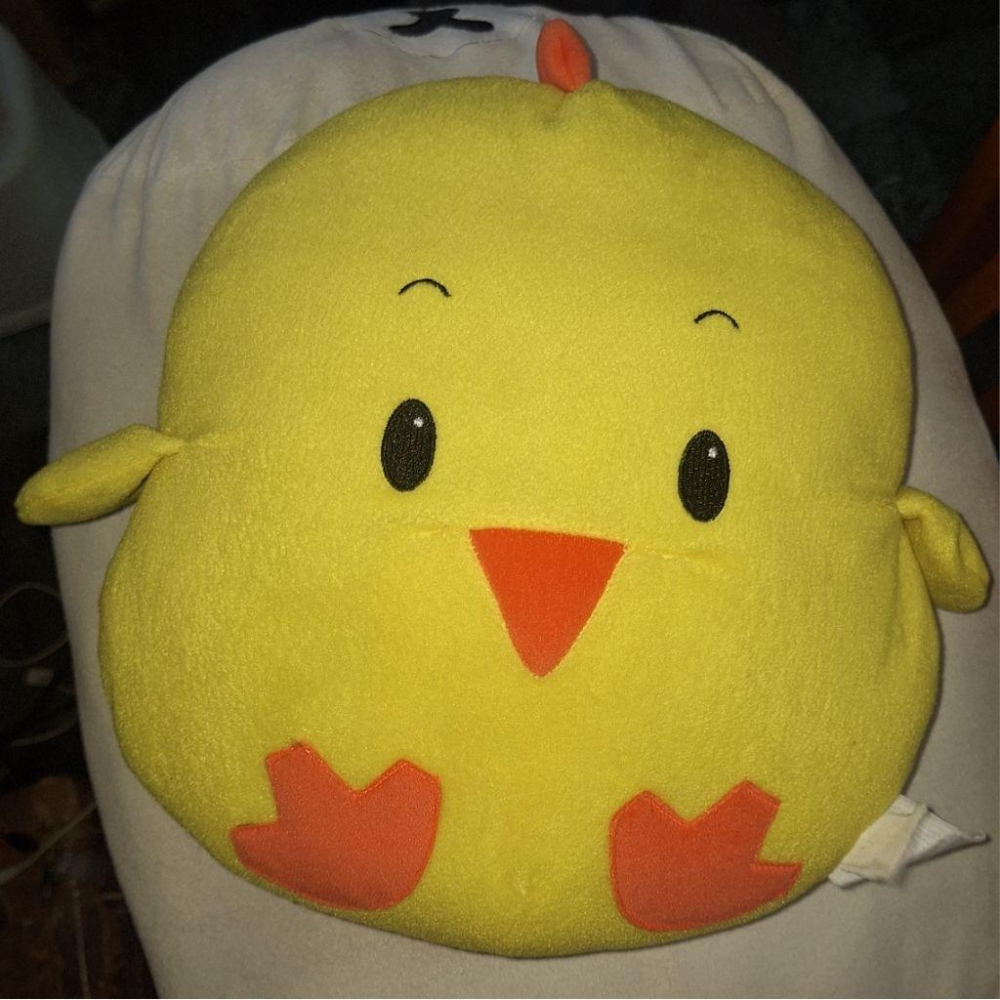 小雞 大娃娃 cute gigi 屈臣氏 玩偶-細節圖4