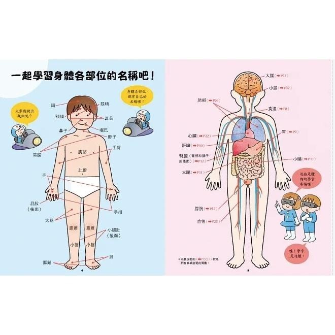 🐾全新🐾 出發吧！人體探險隊：揭開身體消化道、泌尿系統、骨骼肌肉、心臟血管 （新版）-細節圖3