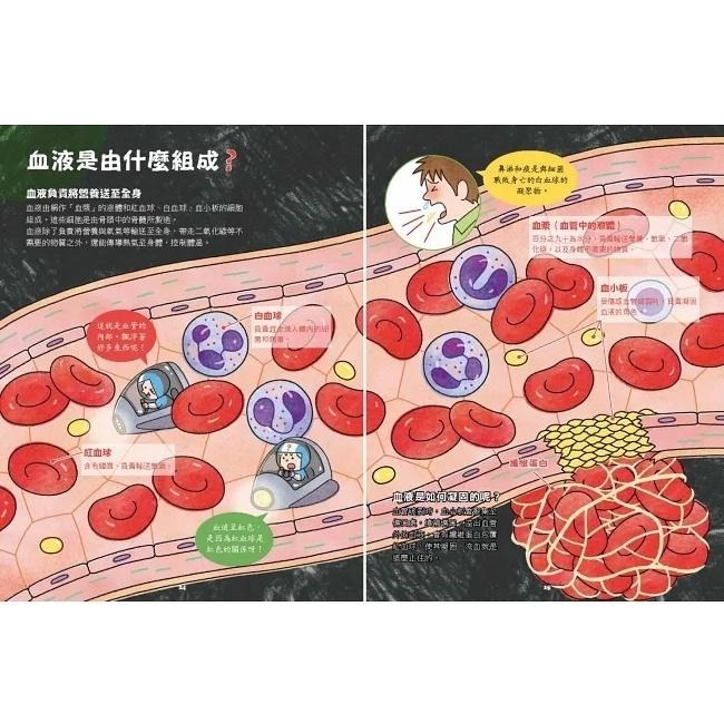 🐾全新🐾 出發吧！人體探險隊：揭開身體消化道、泌尿系統、骨骼肌肉、心臟血管 （新版）-細節圖5