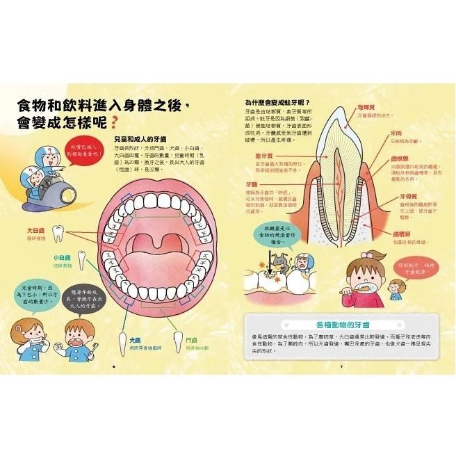 🐾全新🐾 出發吧！人體探險隊：揭開身體消化道、泌尿系統、骨骼肌肉、心臟血管 （新版）-細節圖6