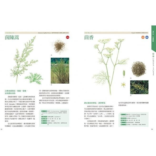 🐾全新🐾 [全集中・5分鐘限時揭密]無人島絕境逃生：一場結合鬥智、邏輯、推理、空間感知的生死搏鬥-細節圖3