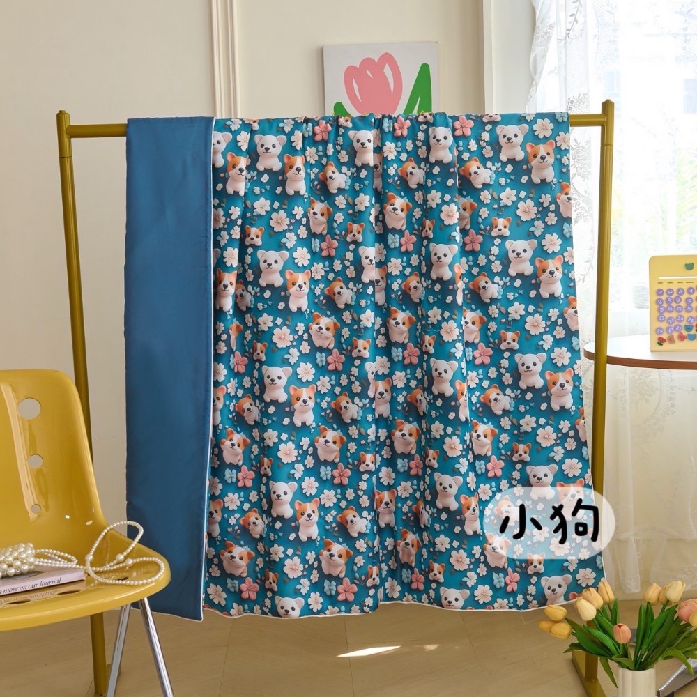 5D天絲抗菌蠶絲被-細節圖2