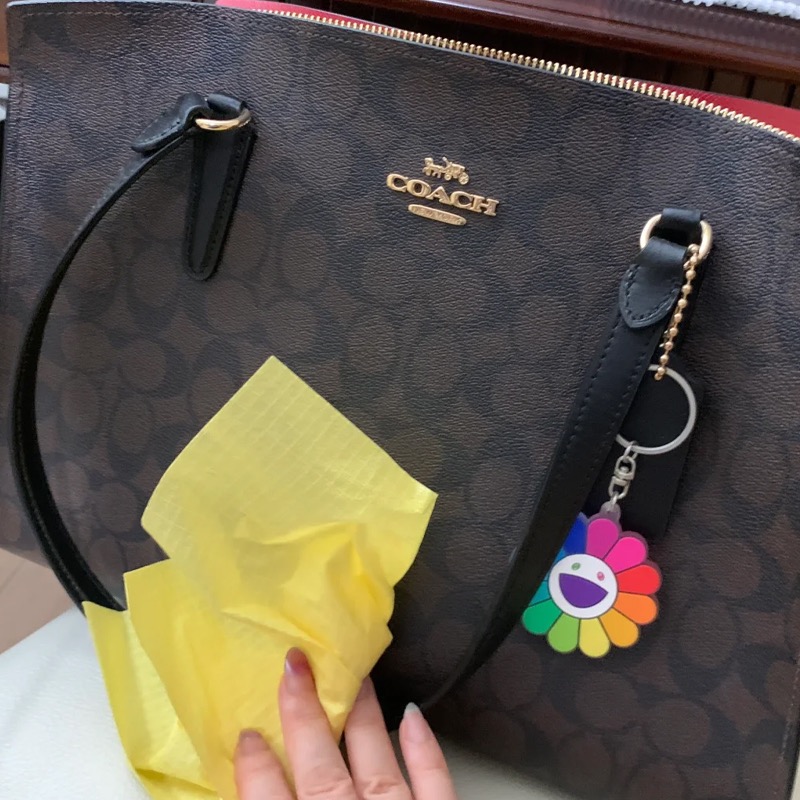 日本 KINCHO 金鳥 Sassa 萬用擦拭布 (10枚入)-細節圖8