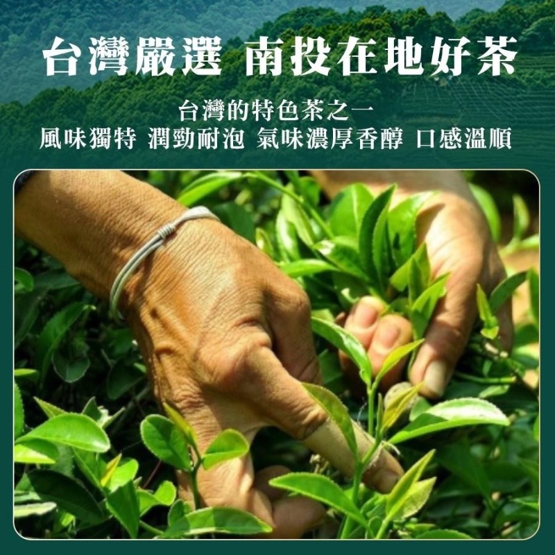 坂尾家 南投小農升級版金萱青茶包50入-細節圖3