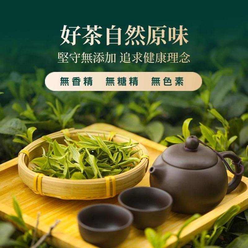 坂尾家 南投小農升級版金萱青茶包50入-細節圖5