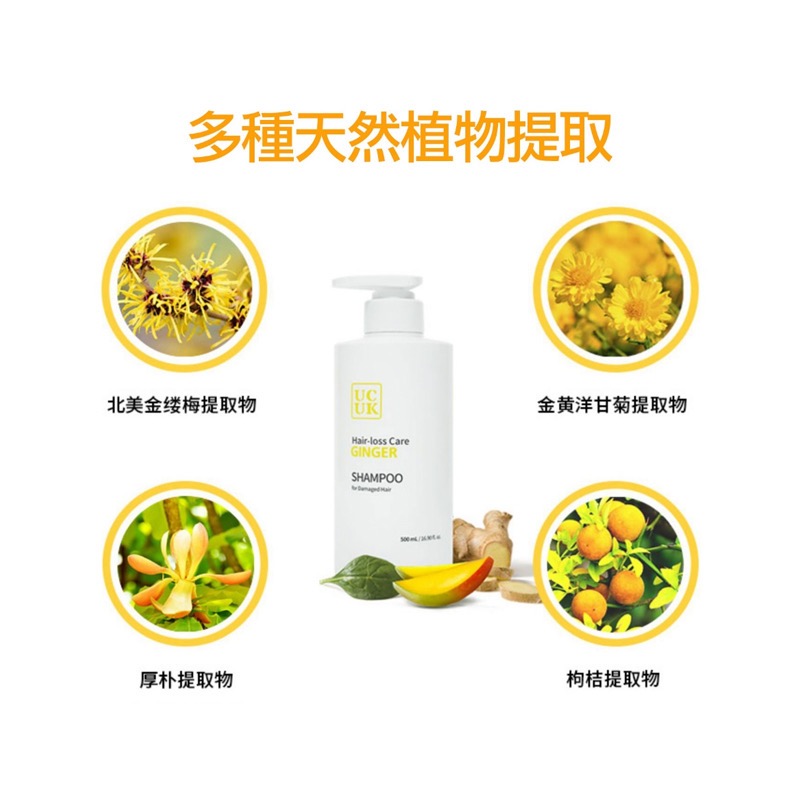 韓國 UCUK 生薑洗髮精 黃色 500mL-細節圖5