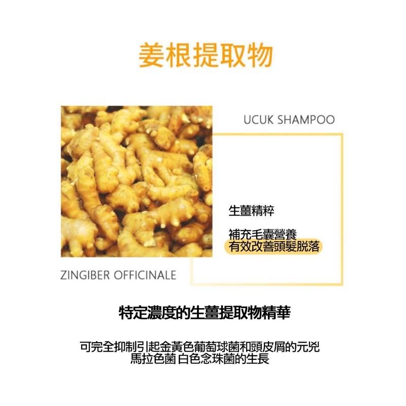 韓國 UCUK 生薑洗髮精 黃色 500mL-細節圖6