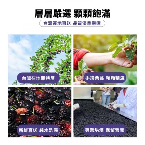 坂尾家-桑葚果乾 (120g／包)-細節圖2
