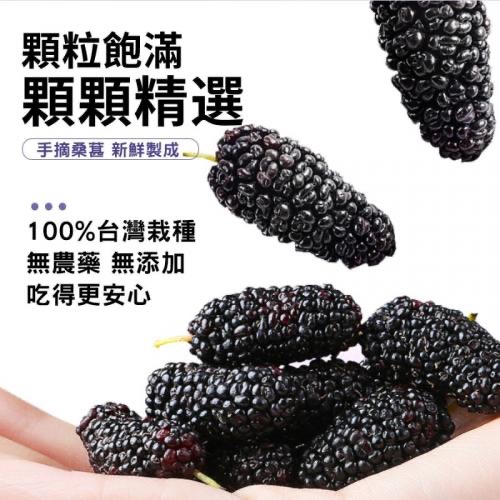 坂尾家-桑葚果乾 (120g／包)-細節圖3