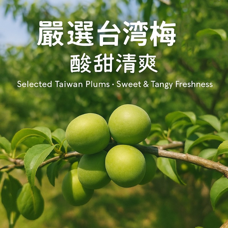 坂尾家-嚴選梅精球軟糖80g-細節圖5