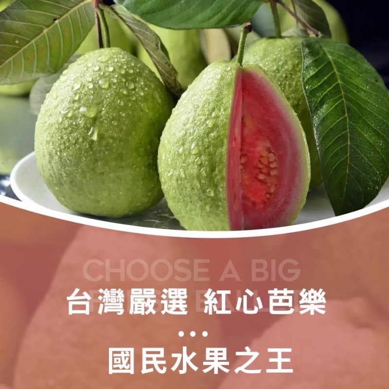 坂尾家-紅心芭樂乾120g-細節圖2