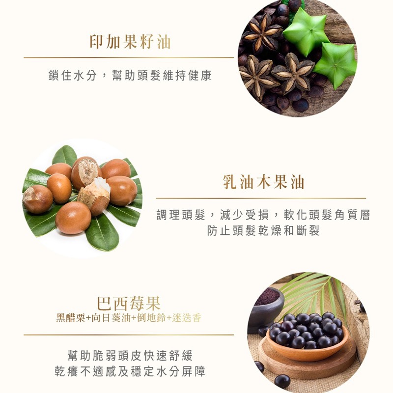 🌸升級新上市｜de Balets 小巴黎 SPA級香水深層修護髮膜 150ml 全新公司貨 小巴黎髮膜 小巴黎護髮-細節圖4