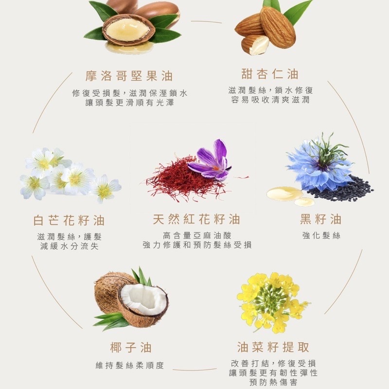 🔥現貨+發票｜de Balets小巴黎 (隨身瓶)SPA級極致修護髮精華 7ml 免沖洗護髮精華 護髮油 小巴黎髮精華-細節圖5