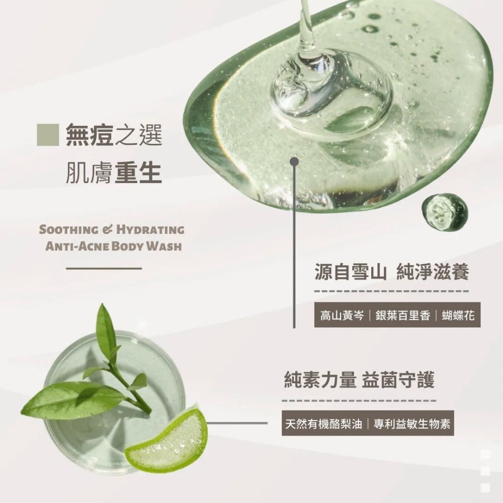 🔥新品免運｜沐塔Mutta <茶尋漫步>淨痘舒敏沐浴露 500ml 沐塔沐浴露 沐塔沐浴乳 淨痘沐浴露-細節圖5