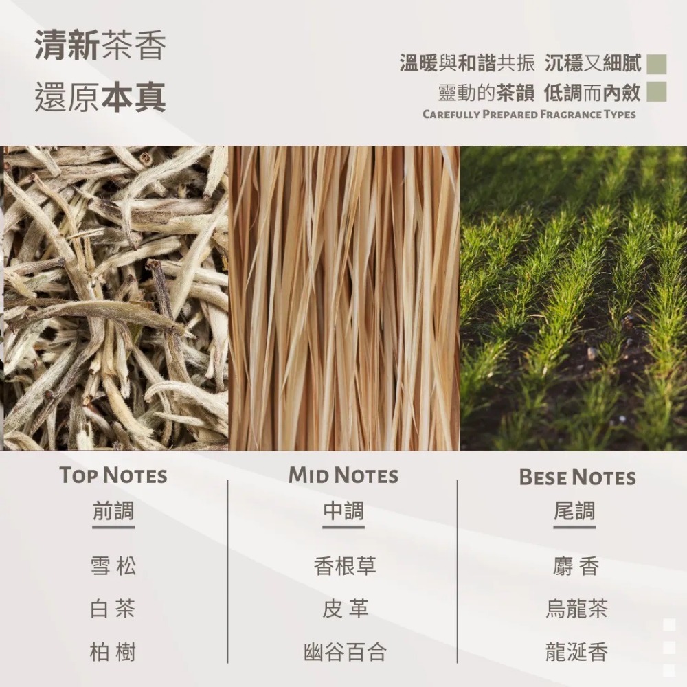 🔥新品免運｜沐塔Mutta <茶尋漫步>淨痘舒敏沐浴露 500ml 沐塔沐浴露 沐塔沐浴乳 淨痘沐浴露-細節圖8