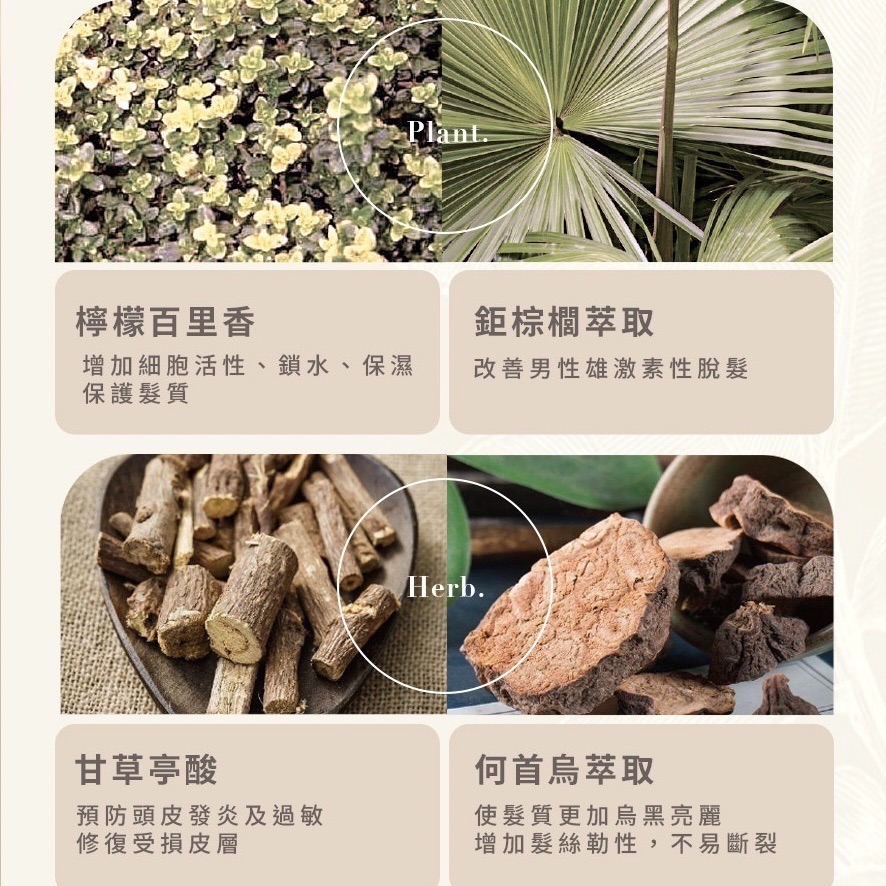 現貨免運│THE VITA 頭皮調理液 the vita頭皮水 薰衣草頭皮水-細節圖6