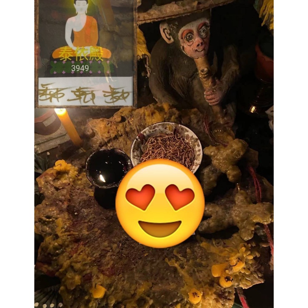 🔥鬼畜墓地蟲盅鎖心挽回血降🔥-細節圖2