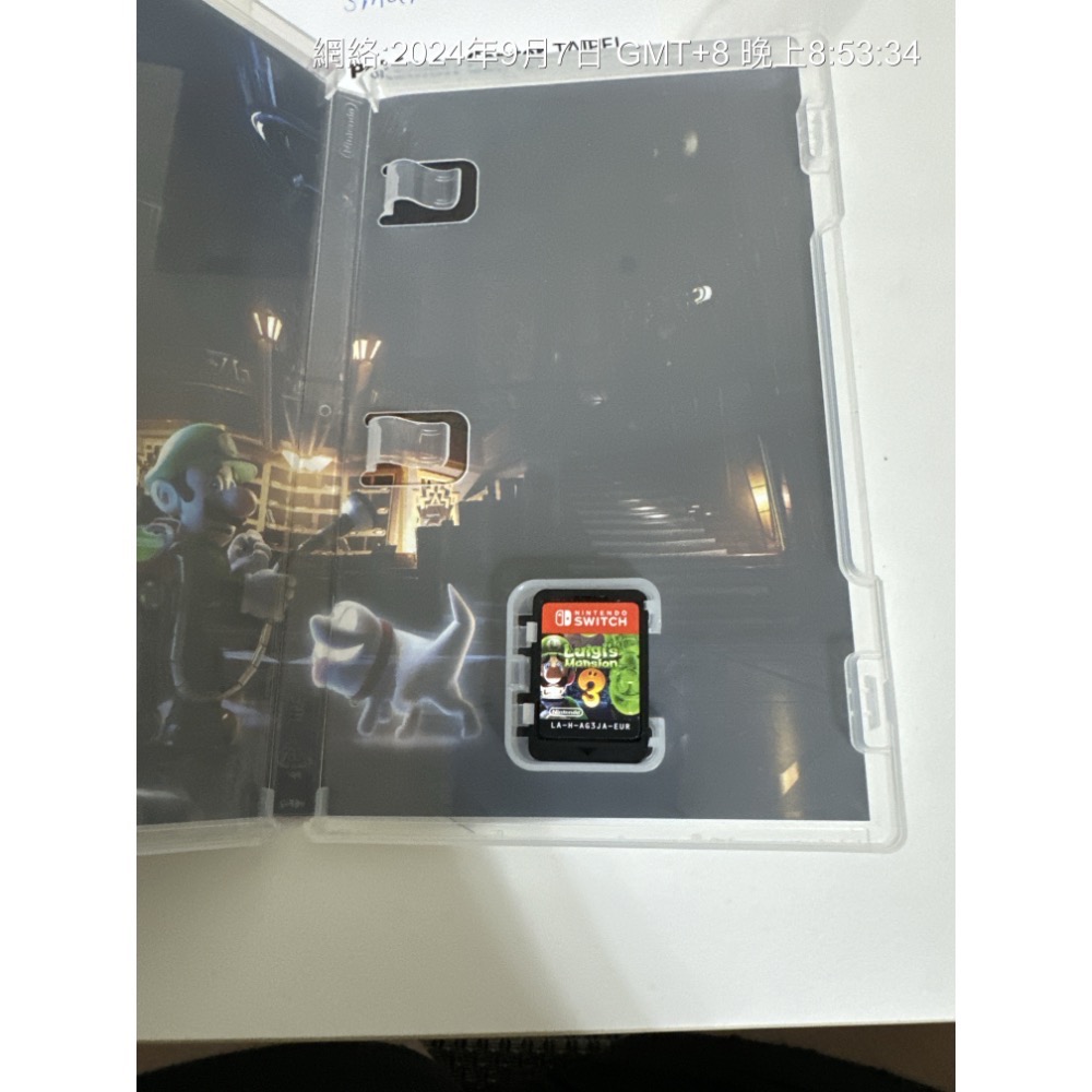 路易吉洋樓3-細節圖2