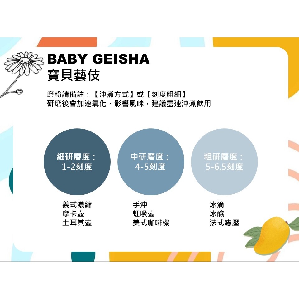 【五間厝咖啡】【接單後烘焙】衣索比亞 吉瑪莉姆 寶貝藝伎 日曬 淺焙 咖啡豆/咖啡粉 單品咖啡 (200公克)-細節圖4