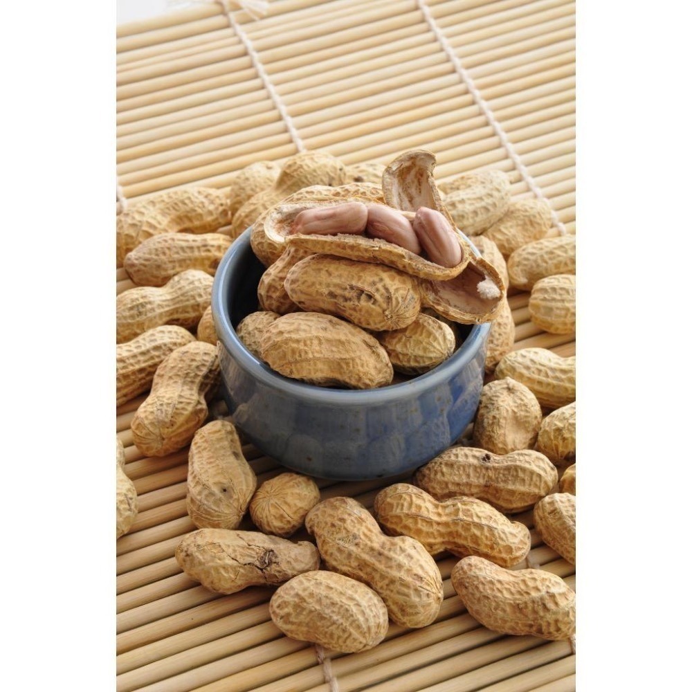 W015 嘉義東石余順豐-帶殼蒜味花生(300g/包)-細節圖2