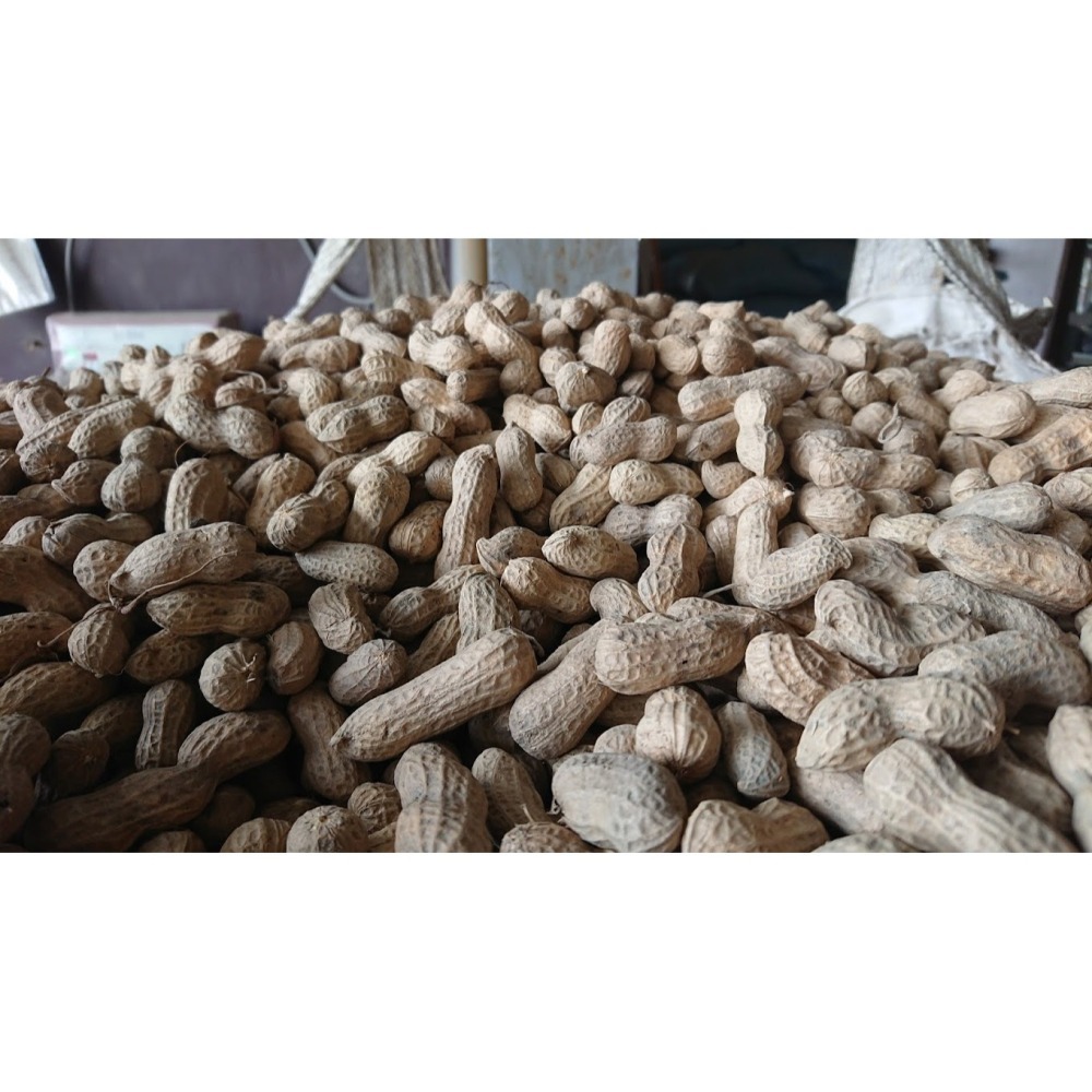 W021 嘉義東石余順豐-桶裝苦茶油(2斤/3斤/5斤)-細節圖6