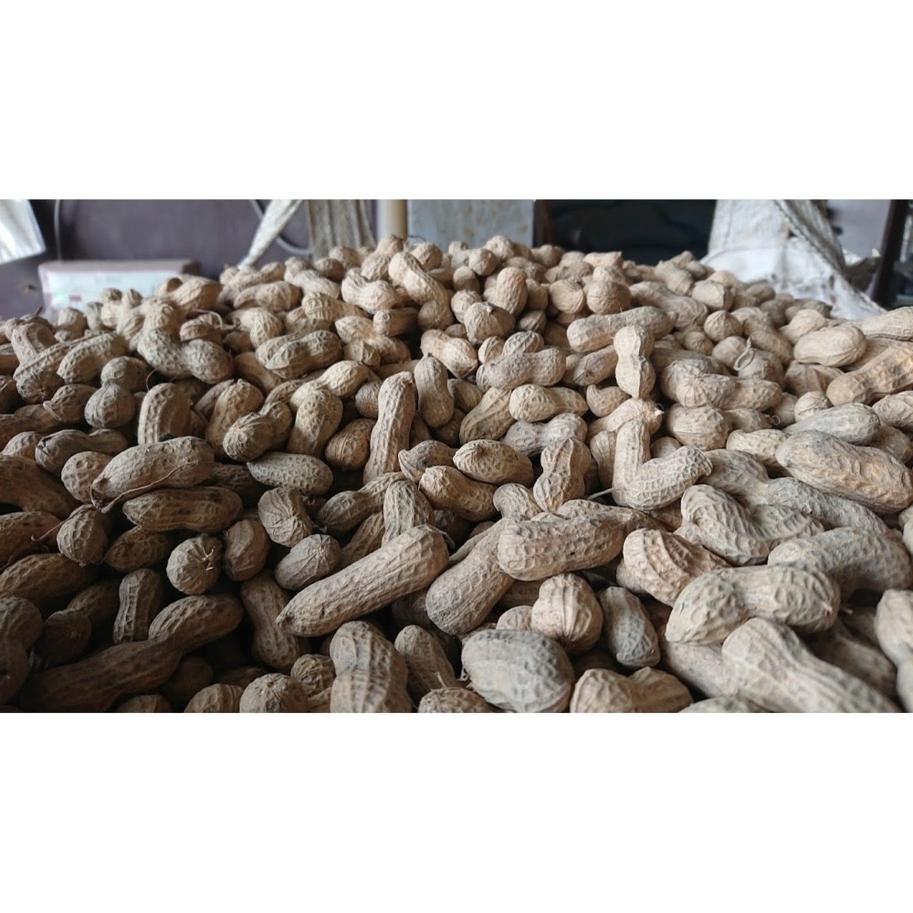 W009 嘉義東石余順豐-五香紅仁花生(280克/罐)-細節圖5