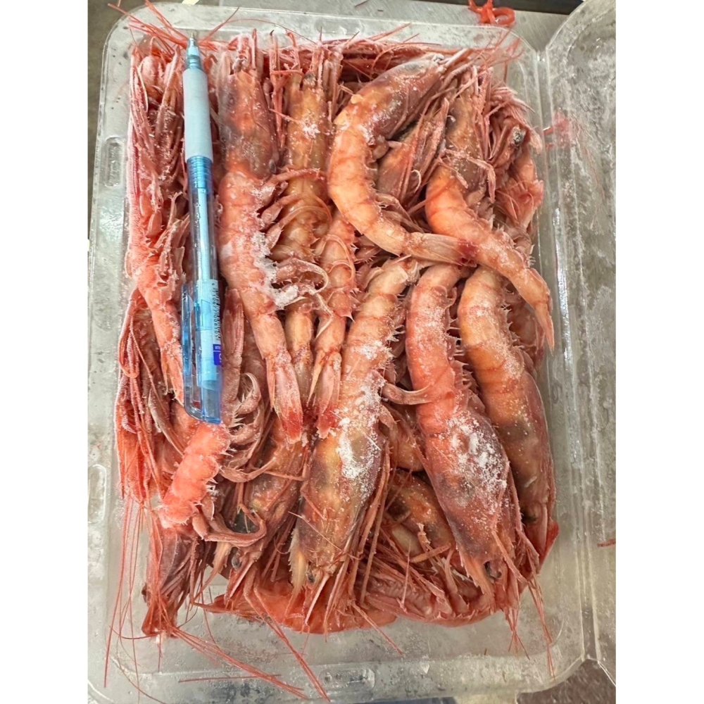 F055 生食級基隆大頭甜蝦(1000克/40-50隻/盒)-細節圖4