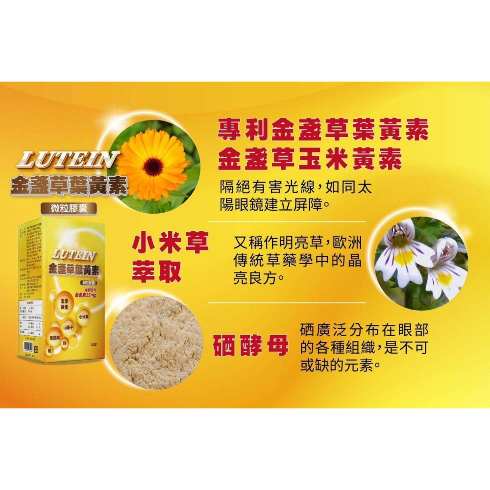 C072 LUTEIN 金盞草葉黃素微粒膠囊(15mg葉黃素/30入/盒 )-細節圖4