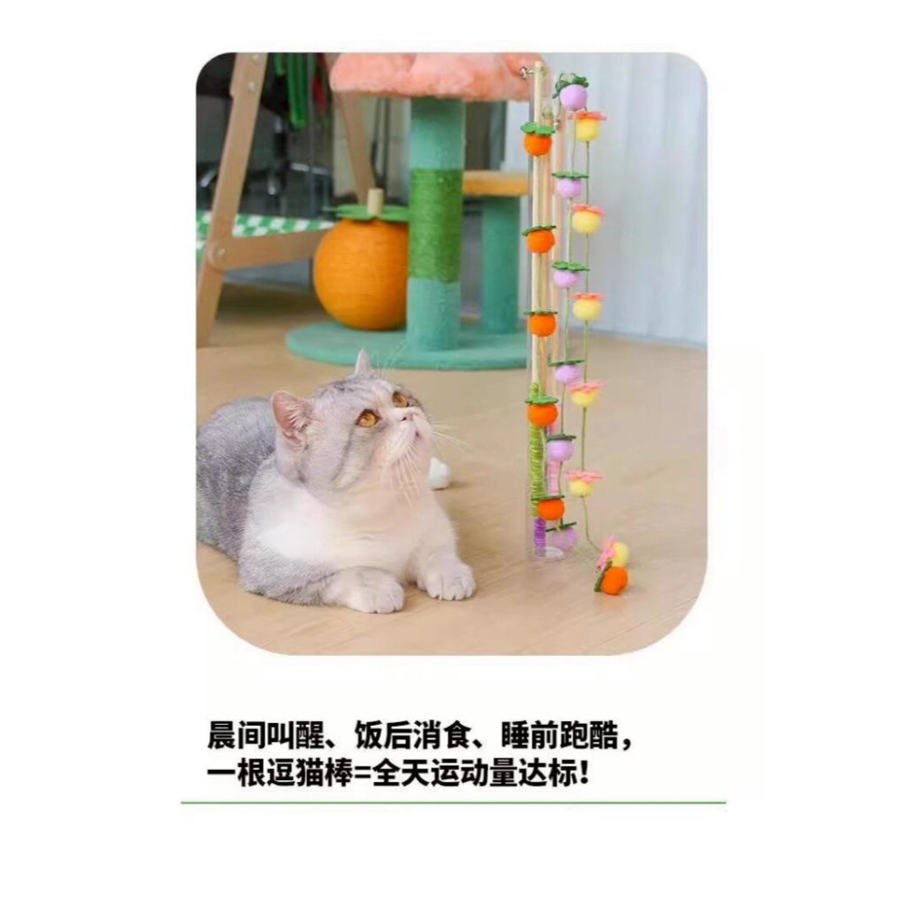 A027 【貓咪瘋玩不停累累果實逗貓棒*5組】-細節圖4