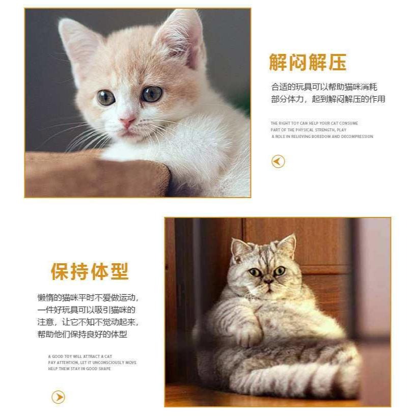 A031 四季通用柔軟透氣不沾毛貓窩-細節圖8