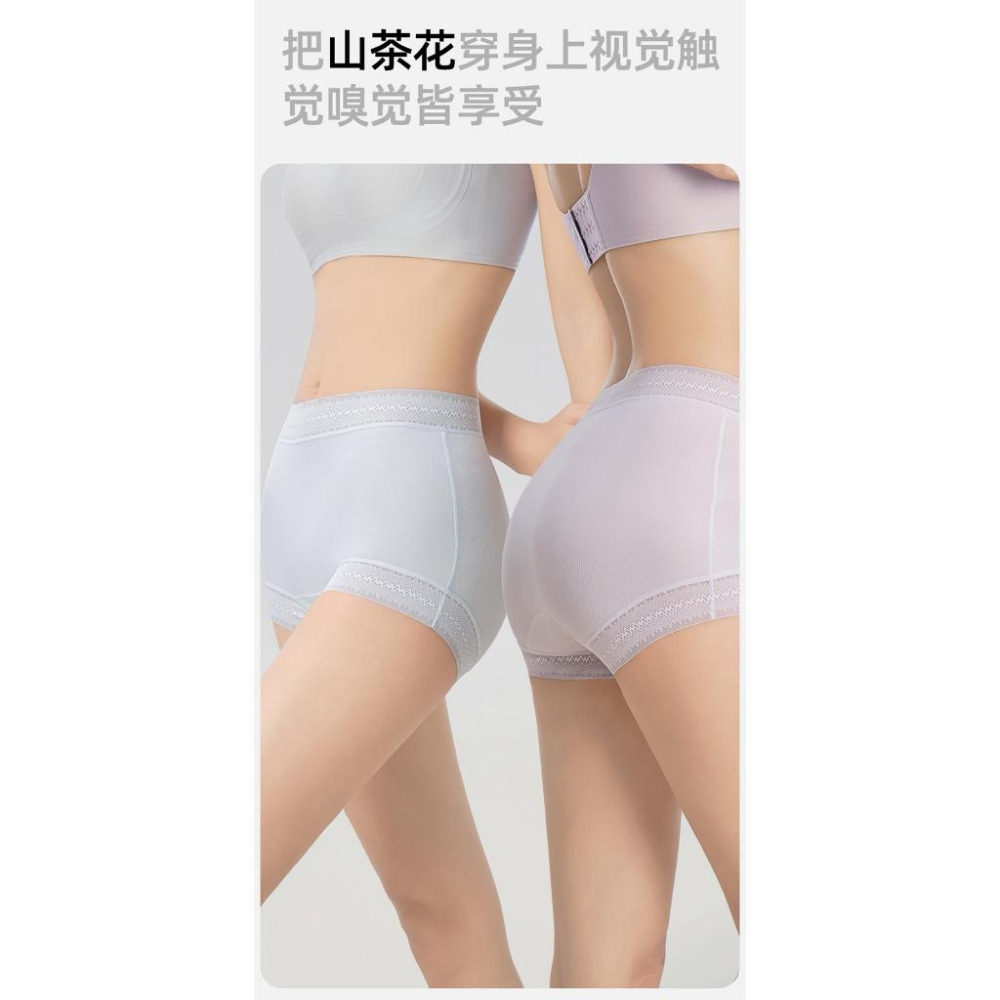 A365  山茶花螺紋冰感女士 L/XL/ XXL高腰內褲5條/組-細節圖6