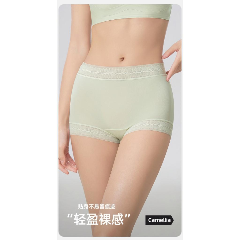 A365  山茶花螺紋冰感女士 L/XL/ XXL高腰內褲5條/組-細節圖8