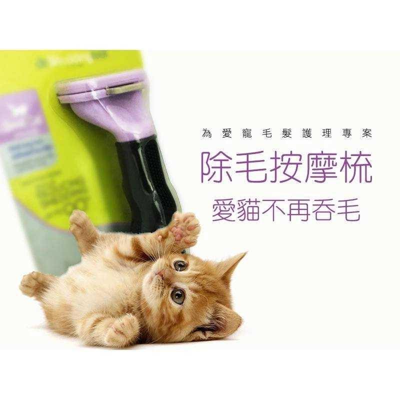 C006  寵物貓狗除毛梳-細節圖2